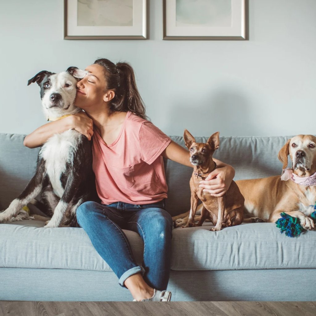 Pet Essentials - Rivercity House & Home Co. (ABN 18 642 972 209)